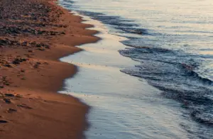 C’est parti pour la saison de ponte 2025 de tortues marines sur le littoral méditerranéen français !