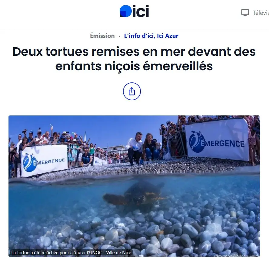 Article FRance bleu -relacher de tortues à Nice