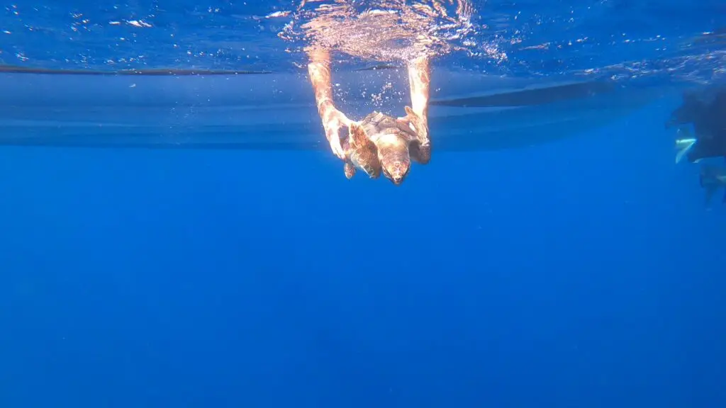 Retour à la mer de CC27
