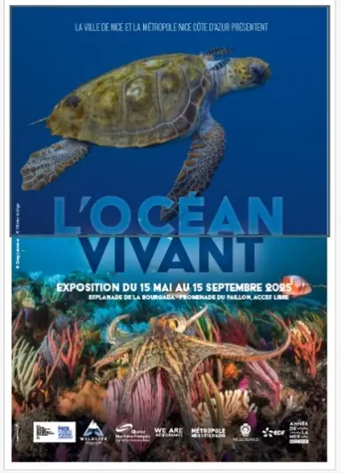 Quand l’art rencontre l’engagement pour l’Océan !