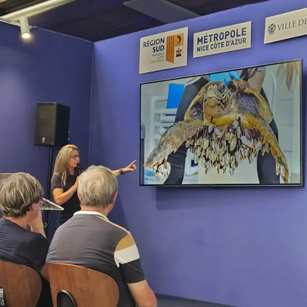 Conférence sur les tortues marines lors de l'UNOC3 à Nice