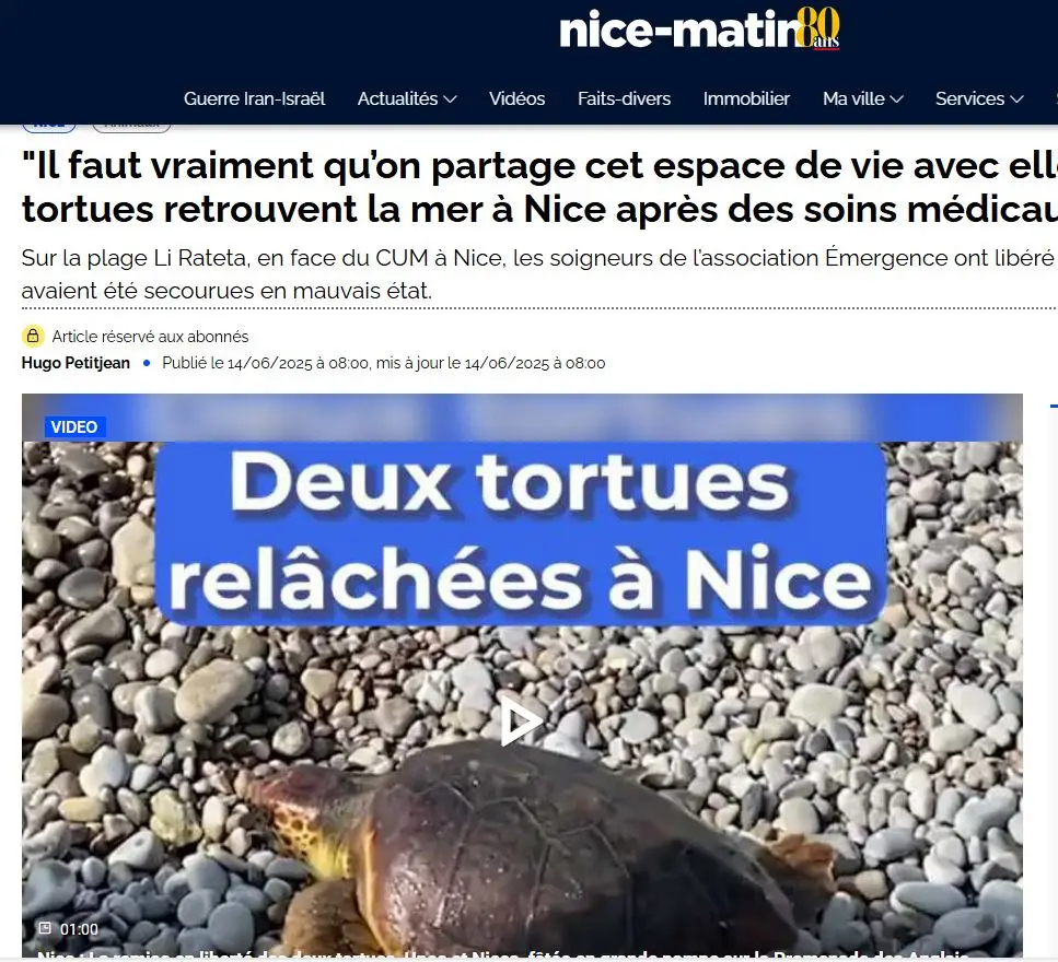 Nice Matin - Unoc et Nicea retrouvent la mer