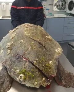 Bienvenue à la 32ème patiente du CRFS