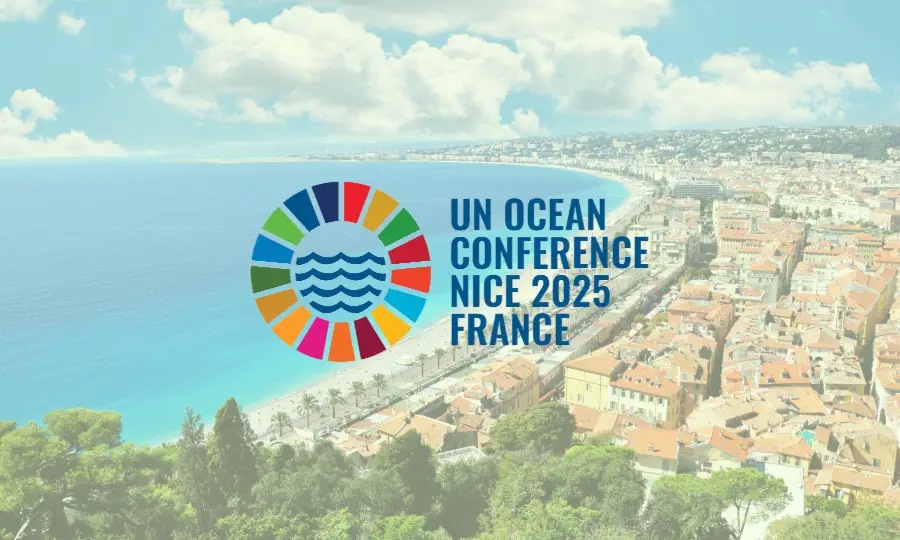Lire la suite à propos de l’article Émergence donne la voix aux tortues marines lors de l’UNOC à Nice