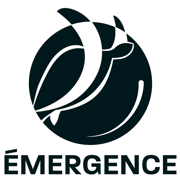 Association Émergence