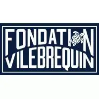 Logo Fondation Vilebrequin