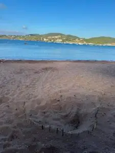 Une deuxième ponte de tortue marine à Agay (Saint Raphaël), à 5m de la précédente !
