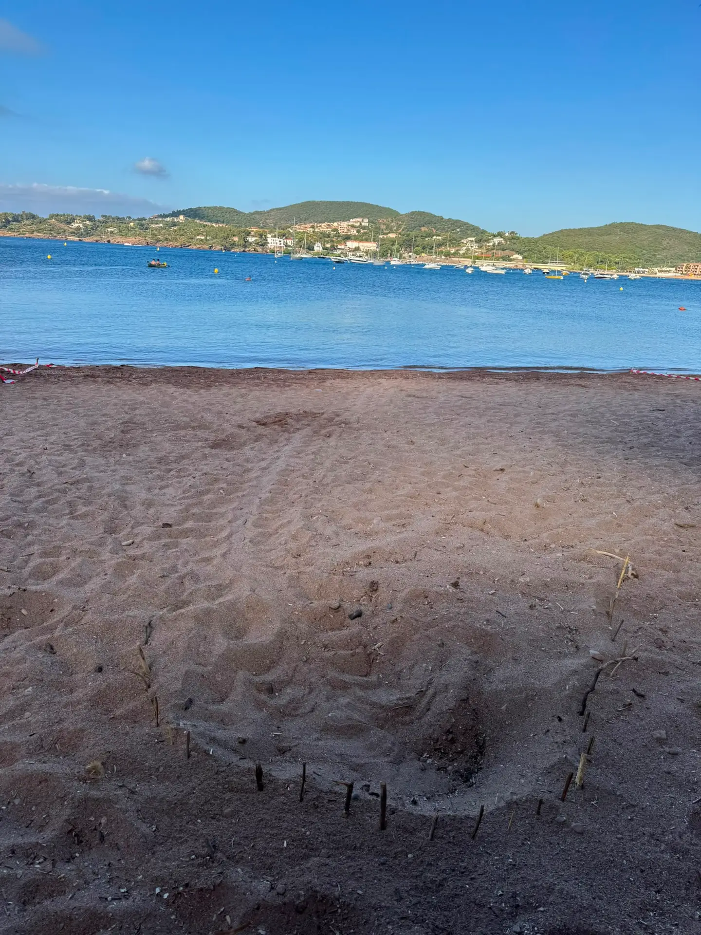 trace de ponte de tortue marine à Agay (Var)